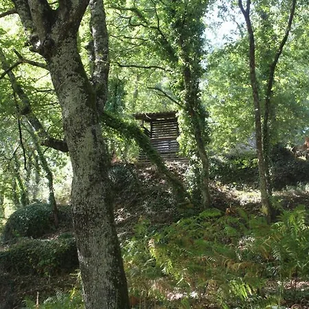 Casa De Joia Oakhouse Chalé Amarante