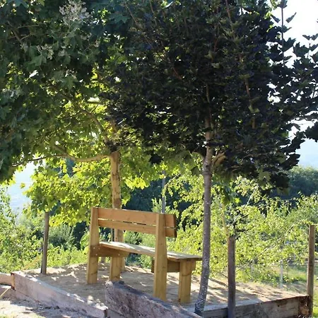 Casa De Joia Oakhouse Amarante